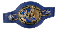 European title fight headlines on June 22nd in Birmingham, England
